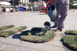 GreenWeek-CreationCollective-4