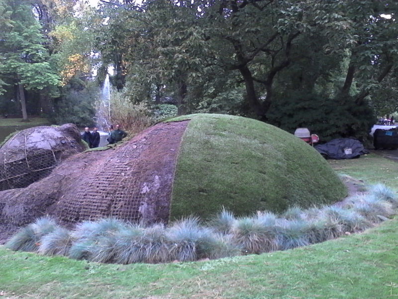 gazon jardin des plantes