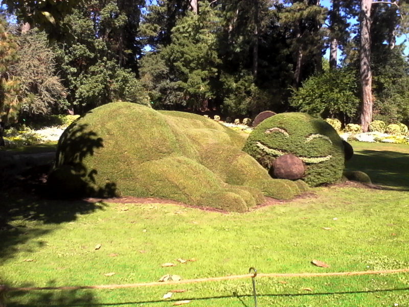 gazon jardin des plantes nantes