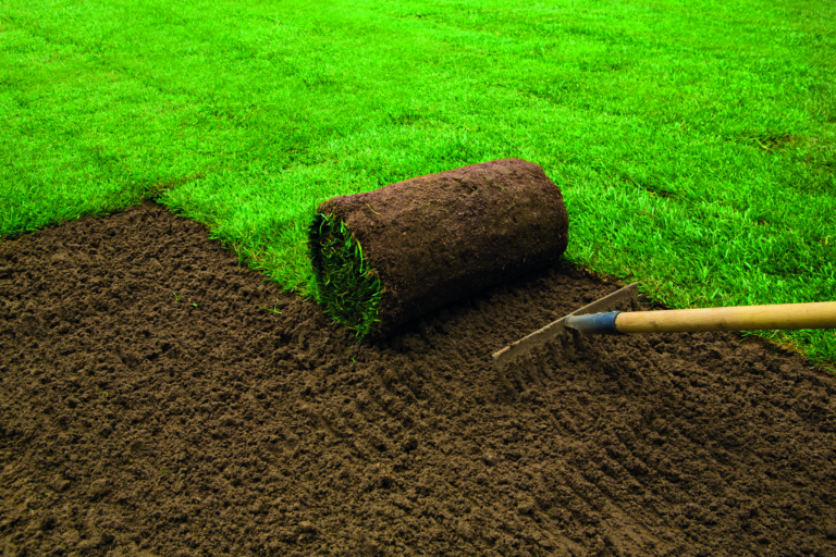 pose de gazon naturel en rouleau sur un sol préparé par Bogazon services